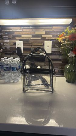 Clear concert backpack