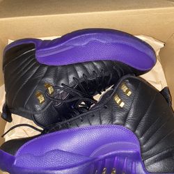 Air Jordan 12 Retros 