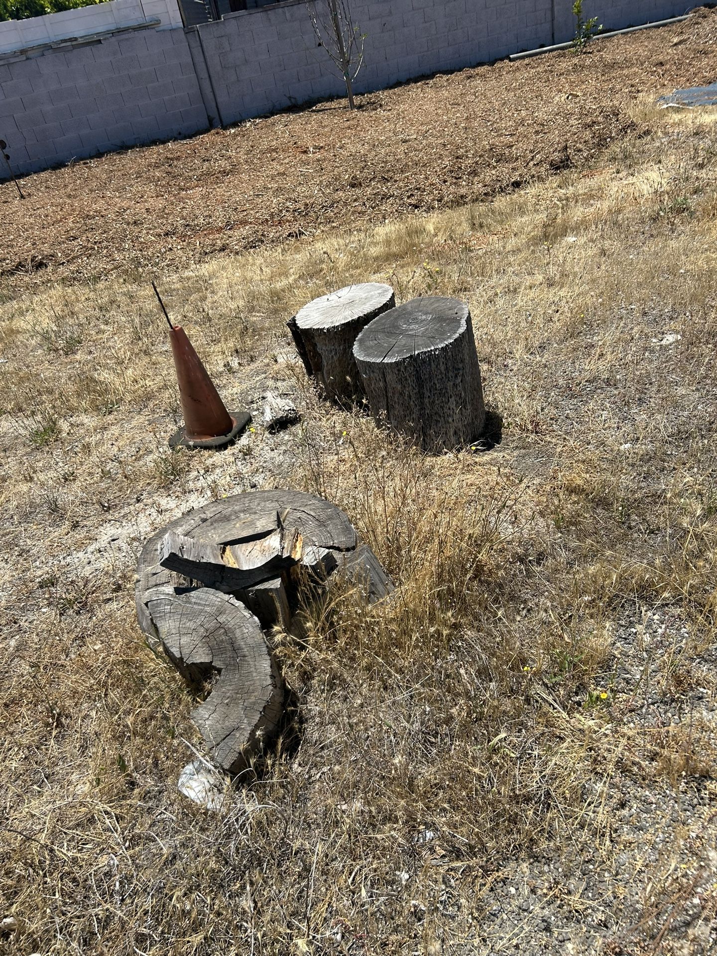Firewood