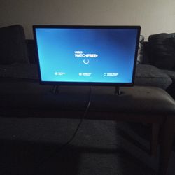 19 Inch Vizio Tv Works Great