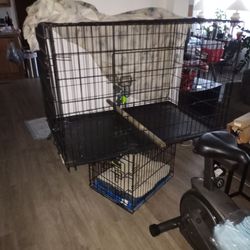 Dog XXL Cage