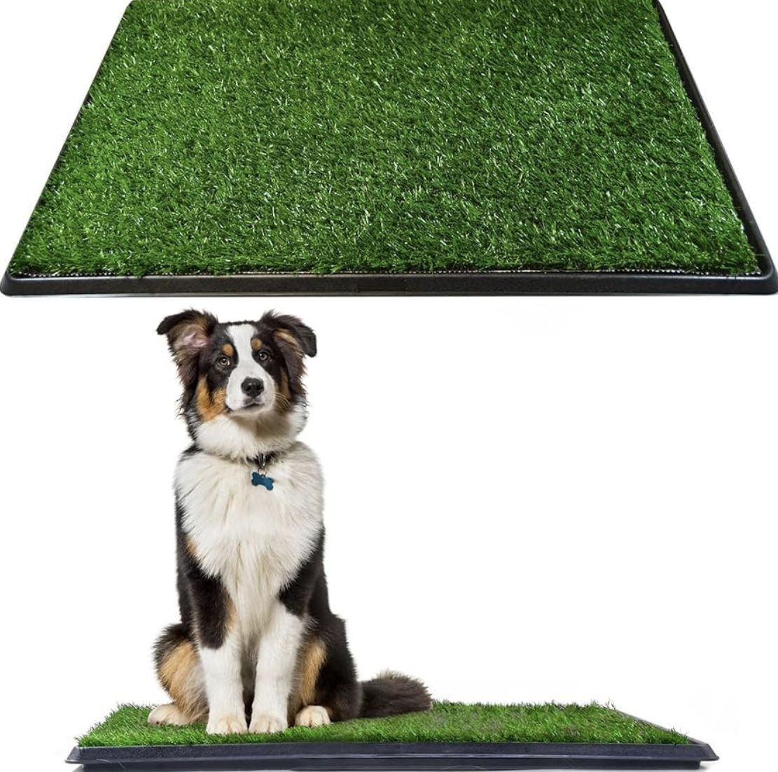 Dog Grass Pad with Tray, 15 x 30 - Outdoor/Indoor Potty System for Dogs with Replaceable Synthetic Grass