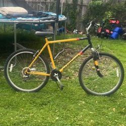 Schwinn Bike 