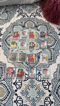 Panini cards