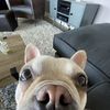 Hudson