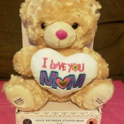 Mother's Day Voice Recorder Teddy Bear