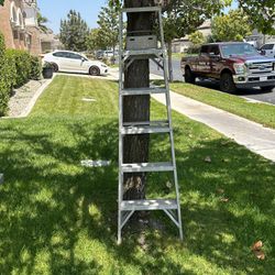 Ladder $15