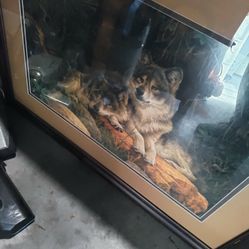 Very Nice Picture $20 Delivery Milwaukee!!