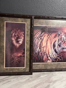 Framed Lion and Tiger Art Prints Set of 2