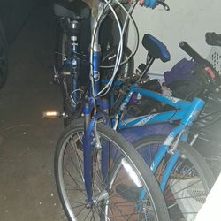 GIANT CYPRESS AND CANNONDALE QUICK 6