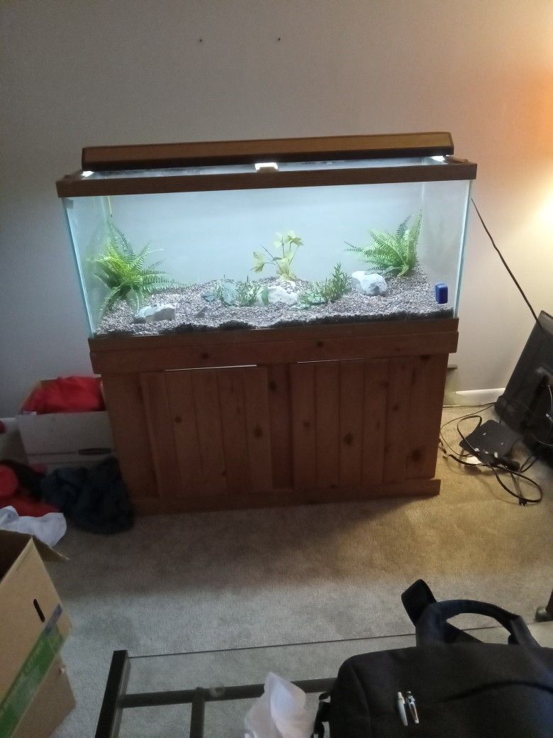 75Gal Fish.Tank with Wooden Stand $125