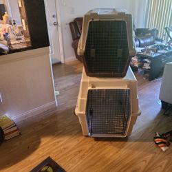 Large Dog Crates