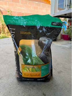 Bird Food