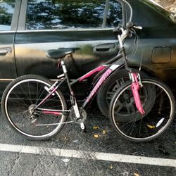 Schwinn Link Mountain Bike