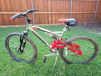 Schwinn s40 dsx 2025 value