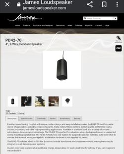 JAMES 2 WAY 4.5" PENDANT SPEAKER, STUDIO BLACK