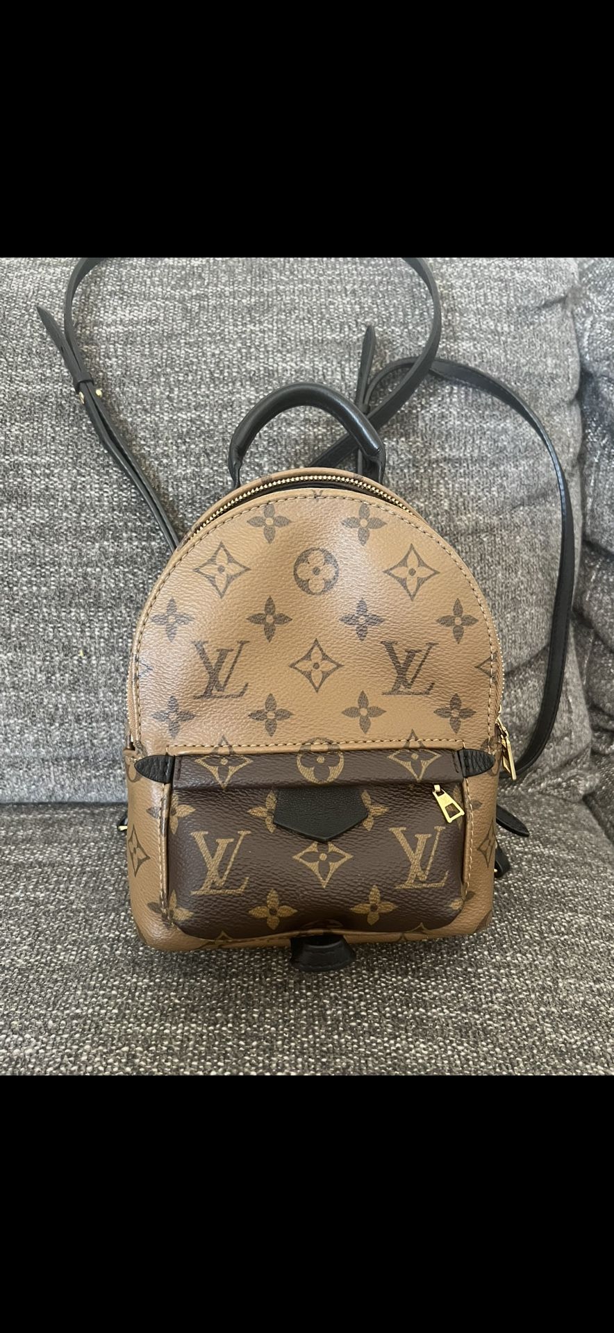 Louis Vuitton Palm Springs Reverse Monogram Mini