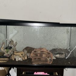 reptile tank 