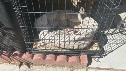 Dog bed & crate