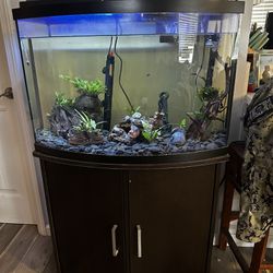 35 Gallon Fish Tank