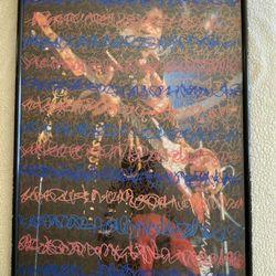 Lenny Kravitz Framed Art - Remastered With More ART