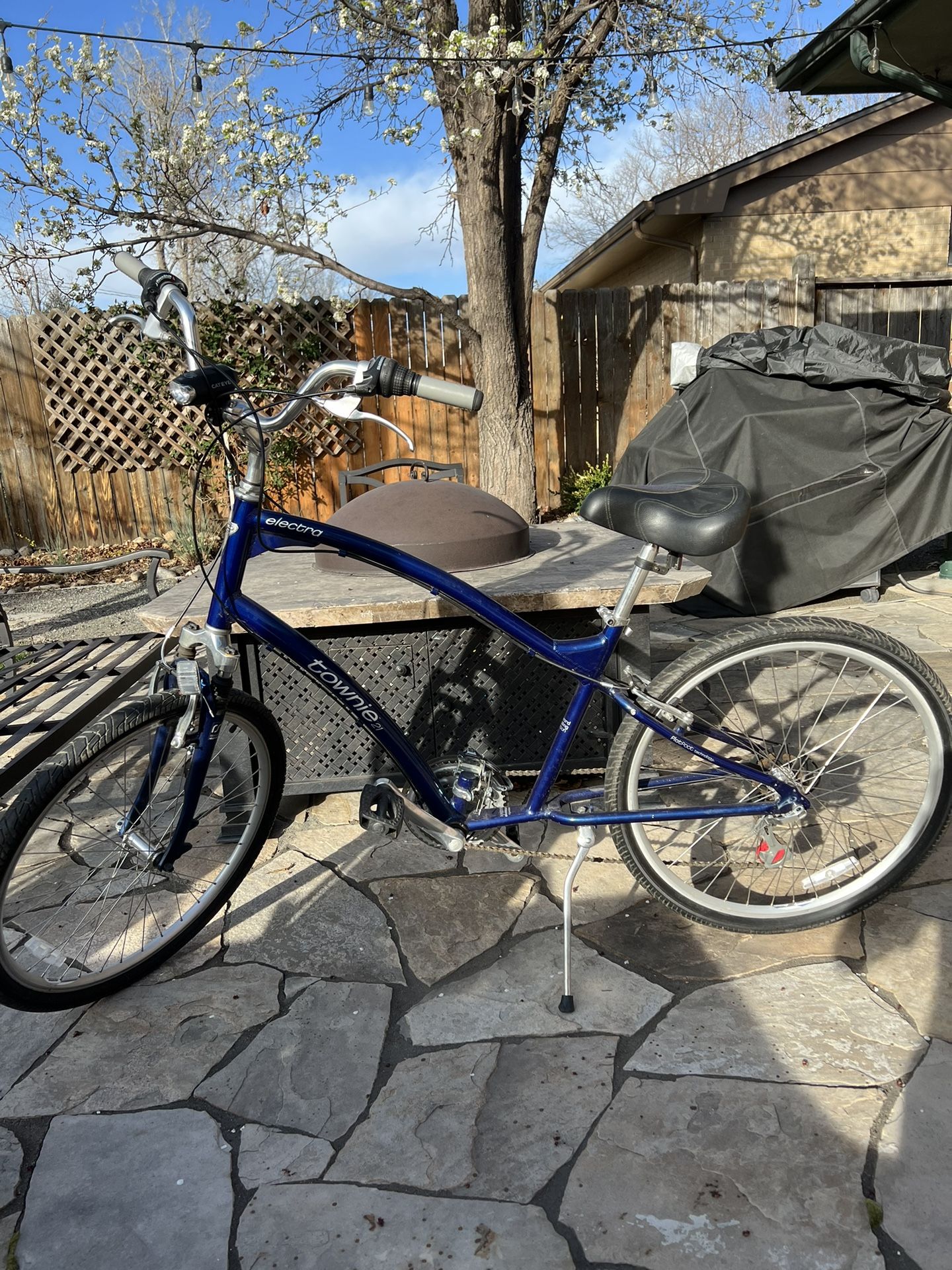 Electra Townie Cruiser Bike