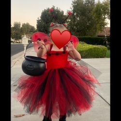 Ladybug Tutu Dress With Wings & Antennas