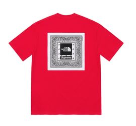 Supreme North Face Bandana Tee Large