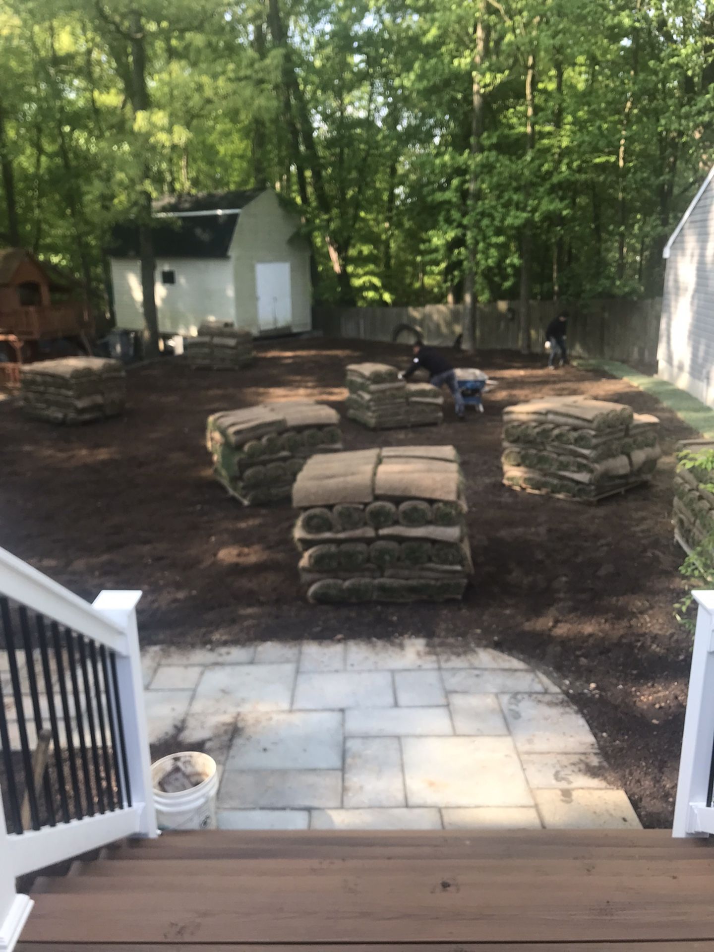 Nice Fresh Sod