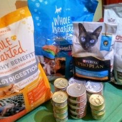 Wet And Dry Cat Food
