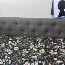 Daybed, Gray Fabric Twin