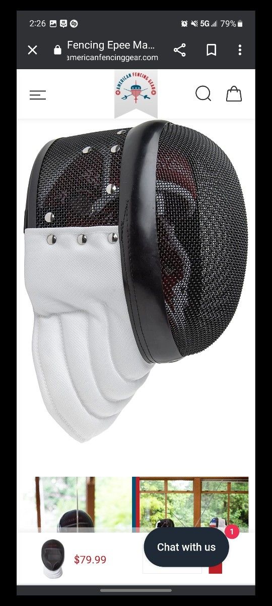 Fencing Mask