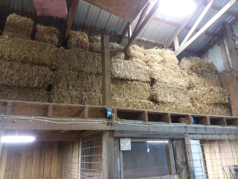 Straw