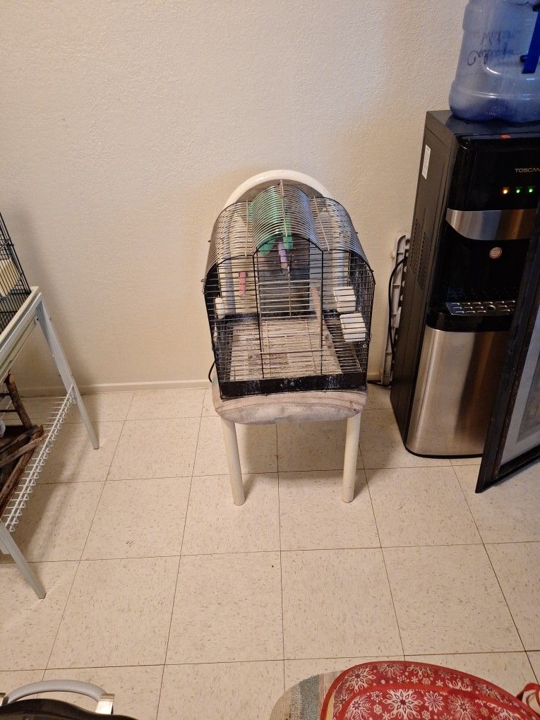 Bird Cage