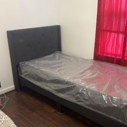Twin XL Bed