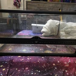 For Sale Or TRADE! Exo Terra Medium Wide/Low TRADE!!!