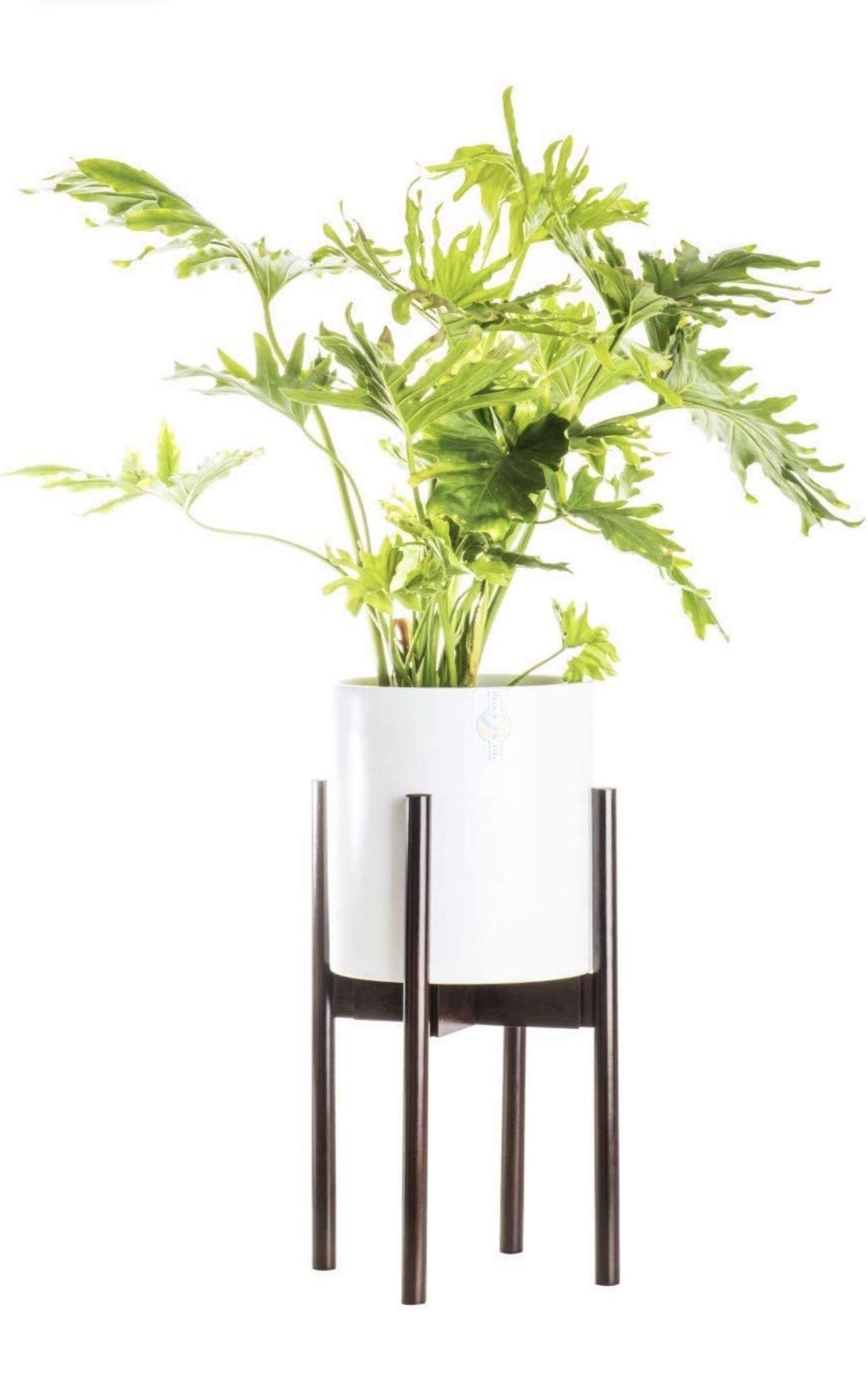 Plant Pots