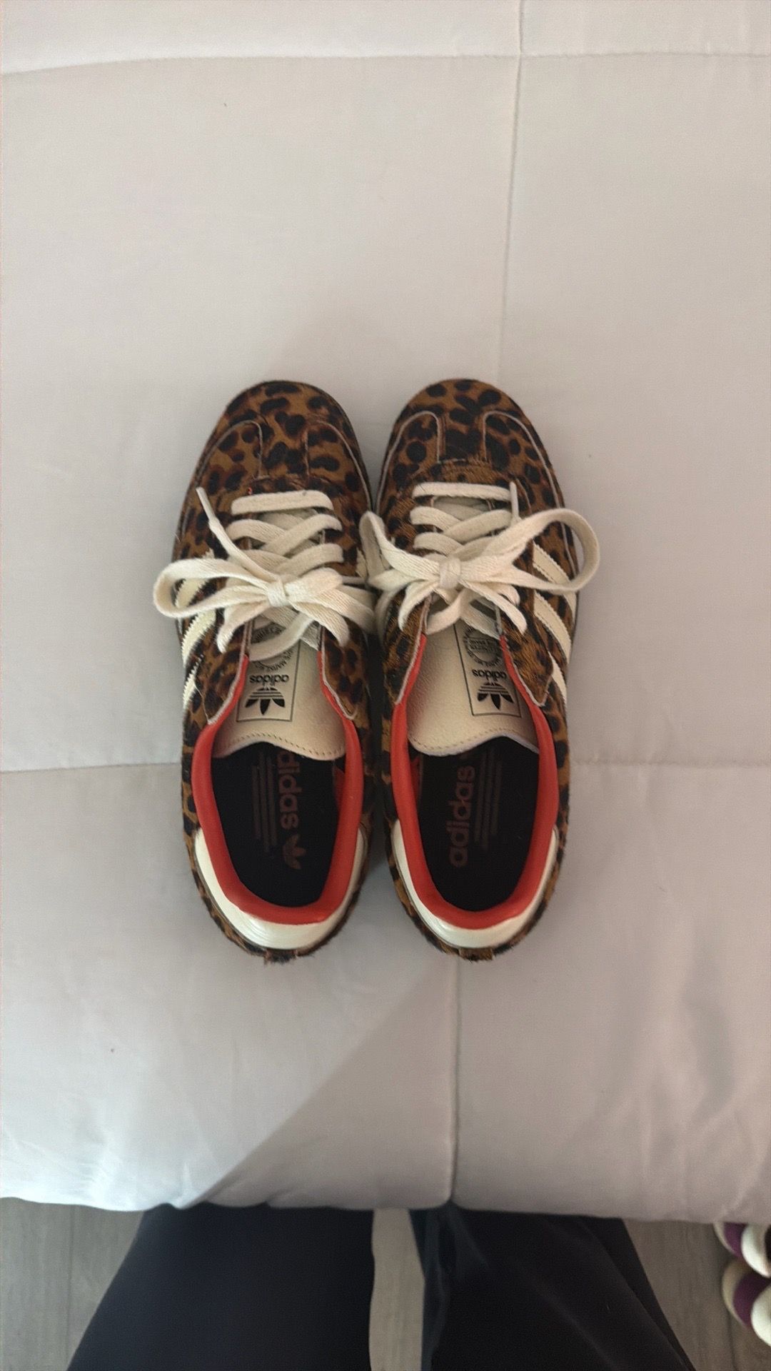 Cheetah Adidas Sambas