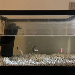 5 gallon tank + accessories *FISH NOT INCLUDED*