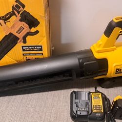 20V MAX 125 Mph 450 CFM Brushless Cordless Battery Powered Handheld Leaf Blower with (1) 5Ah Battery & Charger