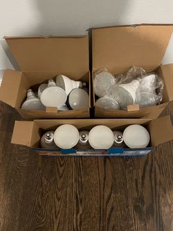 BR30 LED Light Bulbs