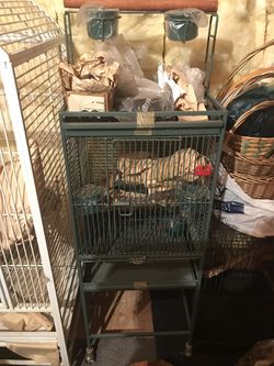 Bird Cage California Cage