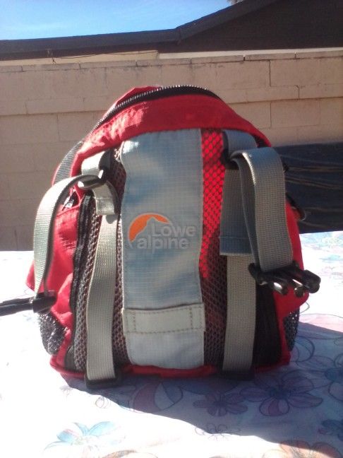 Fanny Pack Mini Backpack