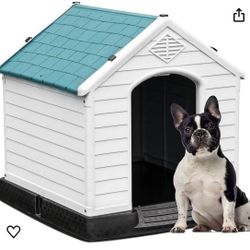 Dog House 