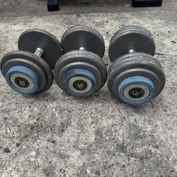 Misc Hampton Dumbbells