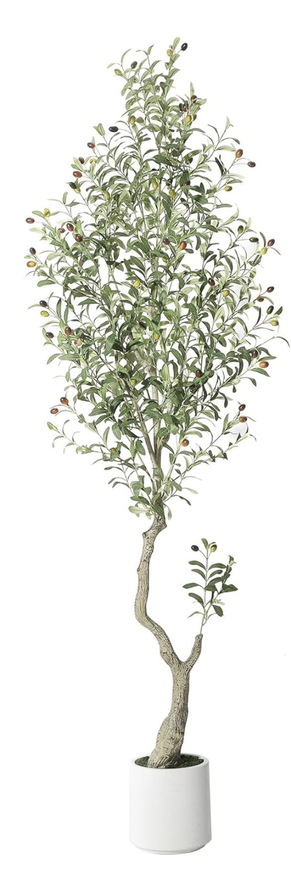 Realistic 7 ft Olive Tree in Large White Planter. Thick Trunk with Silk Leaves and Large Fruit.