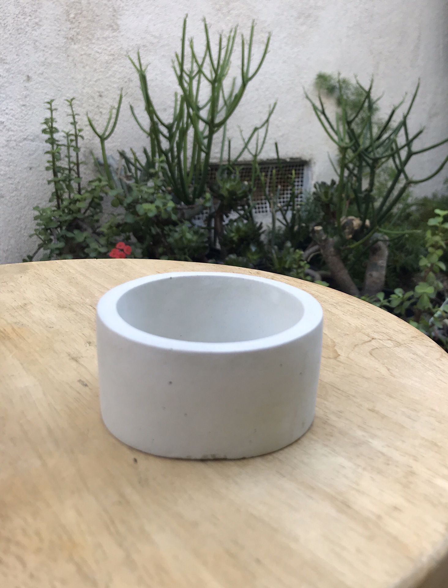 Succulent pot (concrete). 3.0”(w) x 1.5(h)