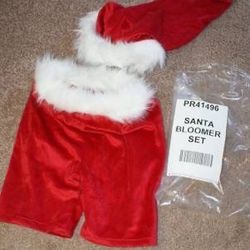 Christmas Costume Dress-Up -or- Photo Props 