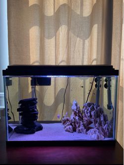 20 Gallon Fish Tank