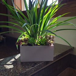 Greenery 